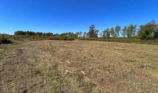 Photo #25 of SOLD property in 1804 OFF E/S, Old Chinquapin Road, Beulaville, NC 28.4 acres