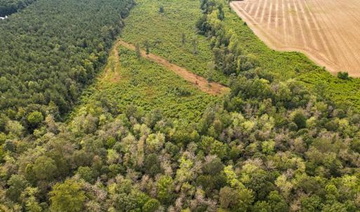 Photo #26 of SOLD property in 1804 OFF E/S, Old Chinquapin Road, Beulaville, NC 28.4 acres