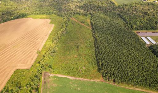 Photo #29 of SOLD property in 1804 OFF E/S, Old Chinquapin Road, Beulaville, NC 28.4 acres