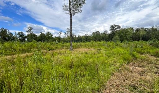Photo #30 of SOLD property in 1804 OFF E/S, Old Chinquapin Road, Beulaville, NC 28.4 acres