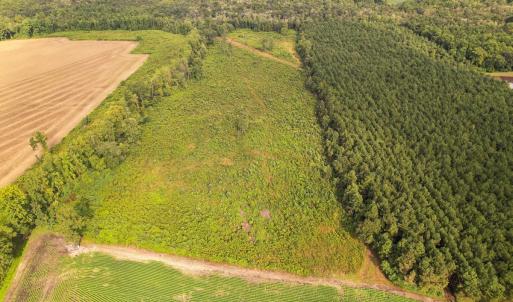 Photo #31 of SOLD property in 1804 OFF E/S, Old Chinquapin Road, Beulaville, NC 28.4 acres
