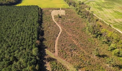 Photo #32 of SOLD property in 1804 OFF E/S, Old Chinquapin Road, Beulaville, NC 28.4 acres