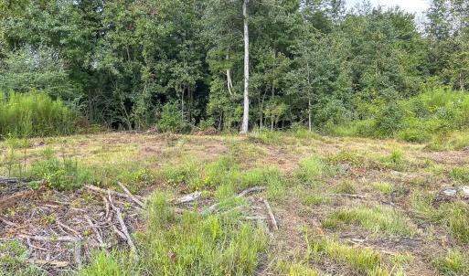 Photo #33 of SOLD property in 1804 OFF E/S, Old Chinquapin Road, Beulaville, NC 28.4 acres