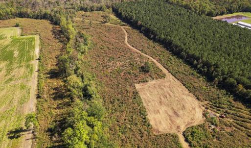 Photo #36 of SOLD property in 1804 OFF E/S, Old Chinquapin Road, Beulaville, NC 28.4 acres