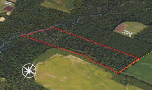 Photo #37 of SOLD property in 1804 OFF E/S, Old Chinquapin Road, Beulaville, NC 28.4 acres