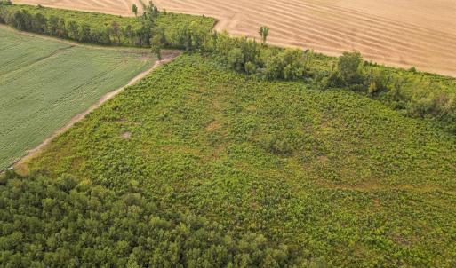 Photo #38 of SOLD property in 1804 OFF E/S, Old Chinquapin Road, Beulaville, NC 28.4 acres