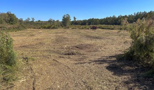Photo #39 of SOLD property in 1804 OFF E/S, Old Chinquapin Road, Beulaville, NC 28.4 acres