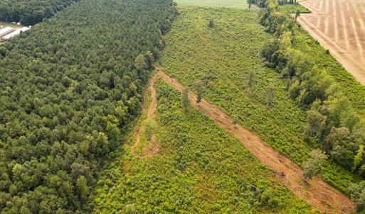 Photo #41 of SOLD property in 1804 OFF E/S, Old Chinquapin Road, Beulaville, NC 28.4 acres