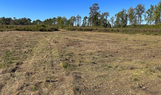 Photo #42 of SOLD property in 1804 OFF E/S, Old Chinquapin Road, Beulaville, NC 28.4 acres