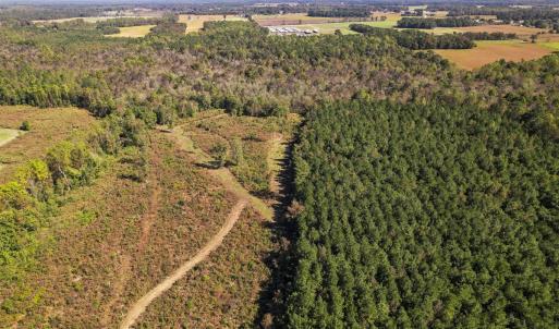 Photo #43 of SOLD property in 1804 OFF E/S, Old Chinquapin Road, Beulaville, NC 28.4 acres