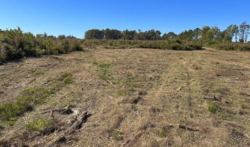 Photo #48 of SOLD property in 1804 OFF E/S, Old Chinquapin Road, Beulaville, NC 28.4 acres