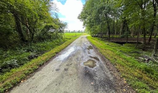 Photo #49 of SOLD property in 1804 OFF E/S, Old Chinquapin Road, Beulaville, NC 28.4 acres