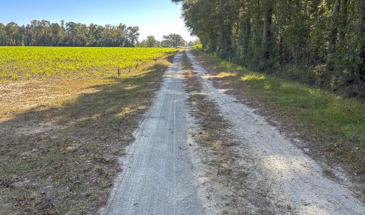 Photo #50 of SOLD property in 1804 OFF E/S, Old Chinquapin Road, Beulaville, NC 28.4 acres