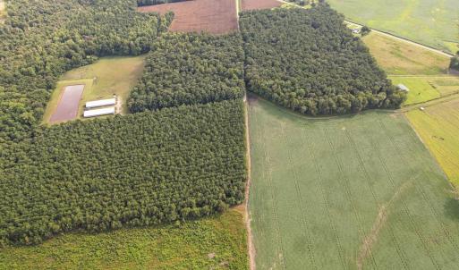 Photo #53 of SOLD property in 1804 OFF E/S, Old Chinquapin Road, Beulaville, NC 28.4 acres