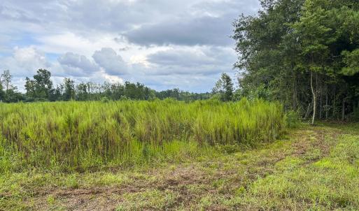 Photo #54 of SOLD property in 1804 OFF E/S, Old Chinquapin Road, Beulaville, NC 28.4 acres
