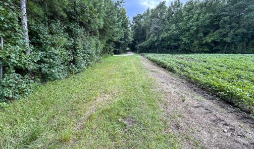Photo #57 of SOLD property in 1804 OFF E/S, Old Chinquapin Road, Beulaville, NC 28.4 acres