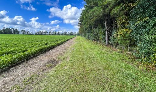 Photo #58 of SOLD property in 1804 OFF E/S, Old Chinquapin Road, Beulaville, NC 28.4 acres