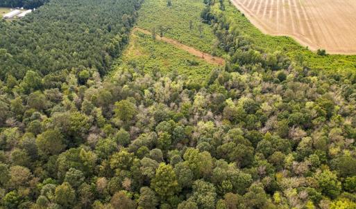 Photo #59 of SOLD property in 1804 OFF E/S, Old Chinquapin Road, Beulaville, NC 28.4 acres