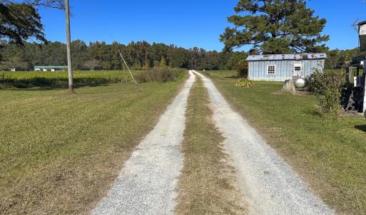 Photo #60 of SOLD property in 1804 OFF E/S, Old Chinquapin Road, Beulaville, NC 28.4 acres