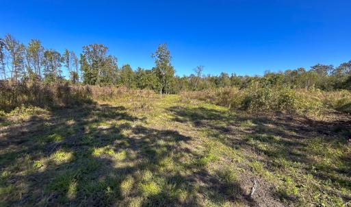 Photo #61 of SOLD property in 1804 OFF E/S, Old Chinquapin Road, Beulaville, NC 28.4 acres