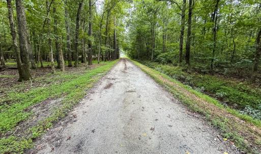 Photo #63 of SOLD property in 1804 OFF E/S, Old Chinquapin Road, Beulaville, NC 28.4 acres