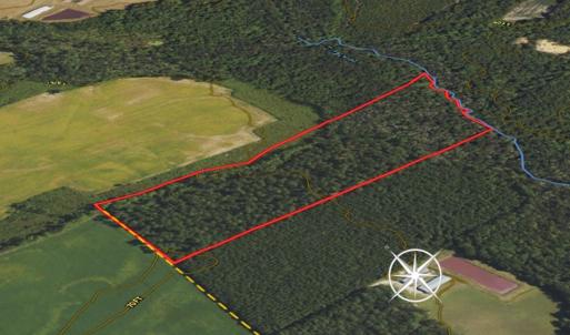 Photo #67 of SOLD property in 1804 OFF E/S, Old Chinquapin Road, Beulaville, NC 28.4 acres