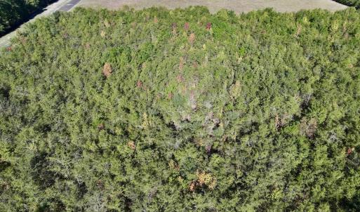 Photo #14 of SOLD property in Off River Road, Vanceboro, NC 29.9 acres