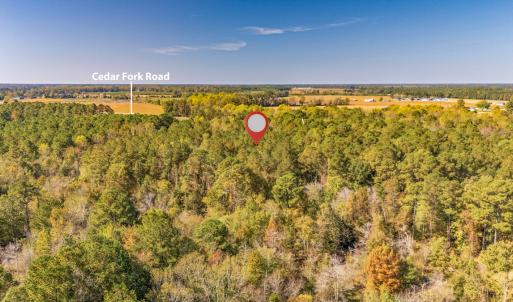 Photo #11 of SOLD property in 205-208 Cedar Fork Rd, Beulaville , NC 65.0 acres