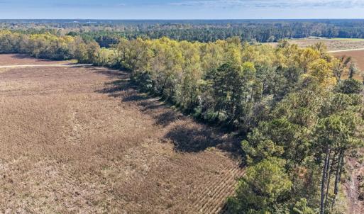 Photo #12 of SOLD property in 205-208 Cedar Fork Rd, Beulaville , NC 65.0 acres