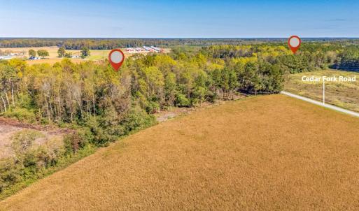 Photo #15 of SOLD property in 205-208 Cedar Fork Rd, Beulaville , NC 65.0 acres