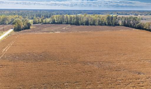 Photo #16 of SOLD property in 205-208 Cedar Fork Rd, Beulaville , NC 65.0 acres