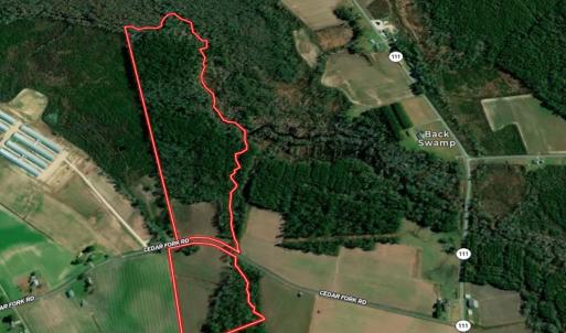 Photo #2 of SOLD property in 205-208 Cedar Fork Rd, Beulaville , NC 65.0 acres