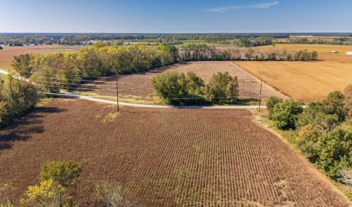 Photo #3 of SOLD property in 205-208 Cedar Fork Rd, Beulaville , NC 65.0 acres