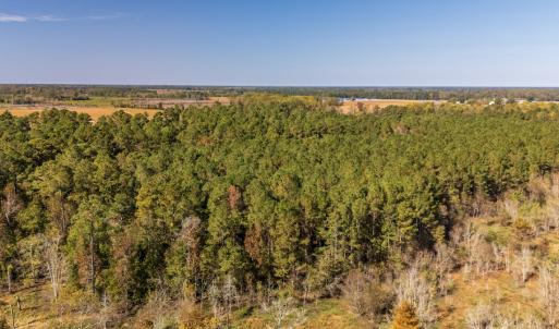 Photo #4 of SOLD property in 205-208 Cedar Fork Rd, Beulaville , NC 65.0 acres