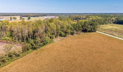 Photo #5 of SOLD property in 205-208 Cedar Fork Rd, Beulaville , NC 65.0 acres