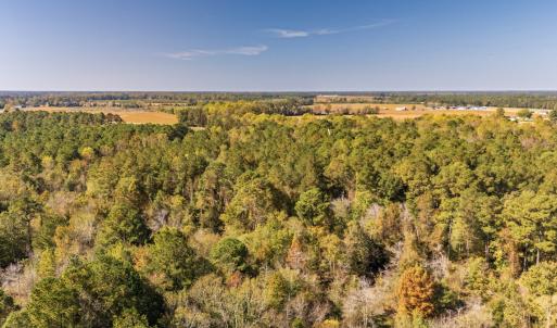 Photo #7 of SOLD property in 205-208 Cedar Fork Rd, Beulaville , NC 65.0 acres