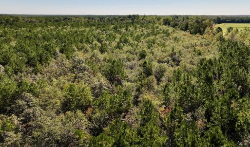 Photo #11 of Off Bay Bush Road, Vanceboro, NC 62.0 acres