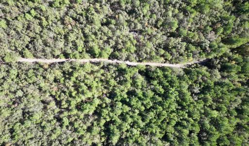 Photo #13 of Off Bay Bush Road, Vanceboro, NC 62.0 acres