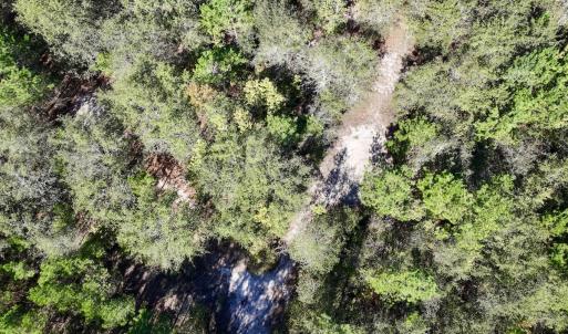 Photo #14 of Off Bay Bush Road, Vanceboro, NC 62.0 acres