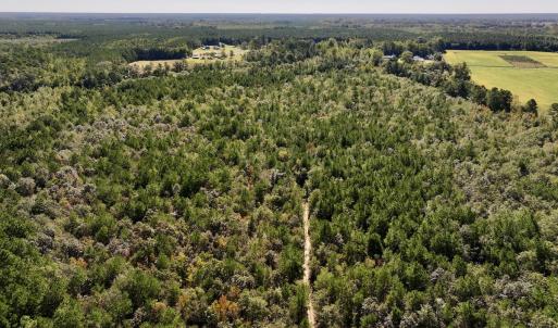 Photo #15 of Off Bay Bush Road, Vanceboro, NC 62.0 acres