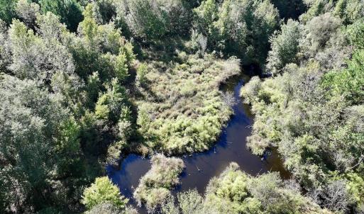 Photo #16 of Off Bay Bush Road, Vanceboro, NC 62.0 acres