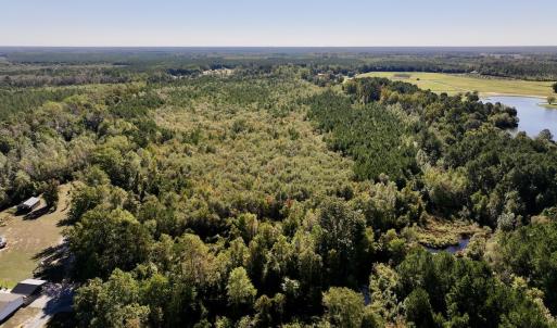 Photo #2 of Off Bay Bush Road, Vanceboro, NC 62.0 acres