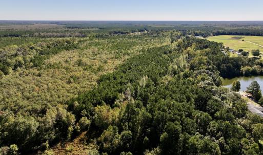 Photo #3 of Off Bay Bush Road, Vanceboro, NC 62.0 acres