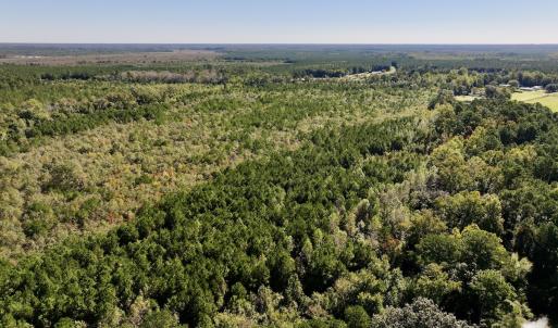 Photo #4 of Off Bay Bush Road, Vanceboro, NC 62.0 acres