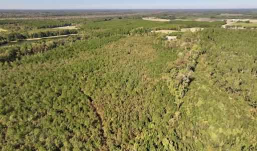Photo #6 of Off Bay Bush Road, Vanceboro, NC 62.0 acres