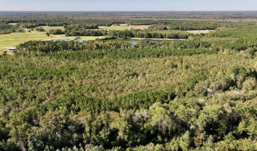 Photo #7 of Off Bay Bush Road, Vanceboro, NC 62.0 acres