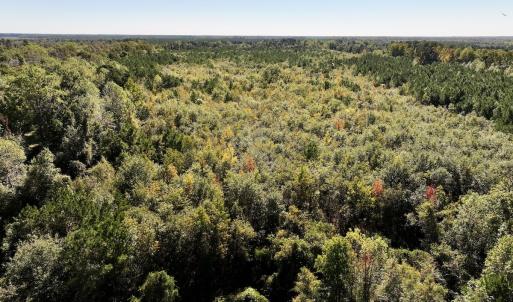 Photo #9 of Off Bay Bush Road, Vanceboro, NC 62.0 acres