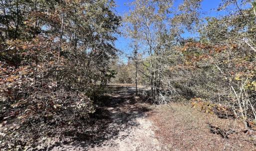 Photo #23 of Off Bay Bush Road, Vanceboro, NC 62.0 acres