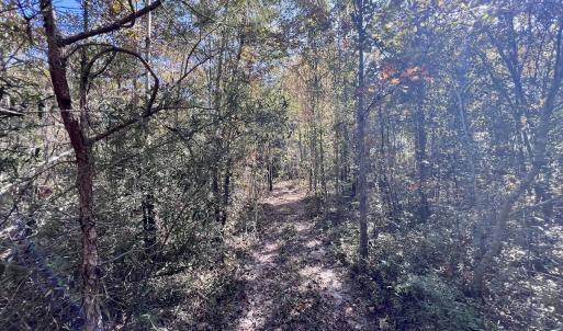 Photo #26 of Off Bay Bush Road, Vanceboro, NC 62.0 acres
