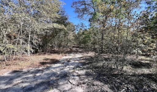 Photo #27 of Off Bay Bush Road, Vanceboro, NC 62.0 acres